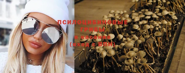 стаф Саяногорск