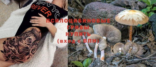 стаф Саяногорск