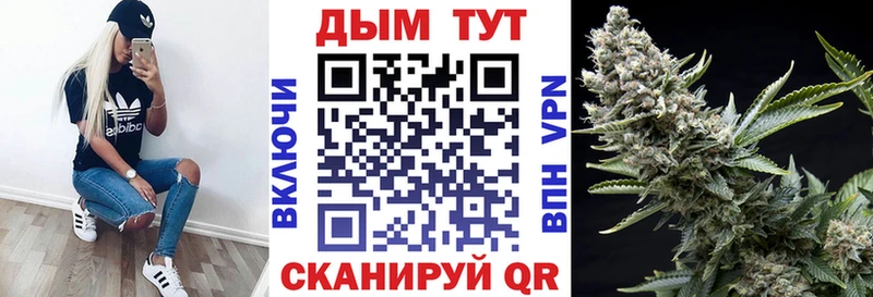 Шишки марихуана MAZAR  Купить  Яранск 